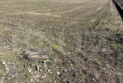 Teren agricol extravilan de 11200 mp, în Bonțida
