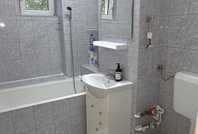 Pantelimon, Bd. Chisinau, Diham, Parcul National, semistradal - 13
