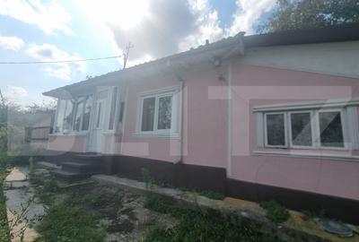 Casă individuală cu 4 camere în Costuleni