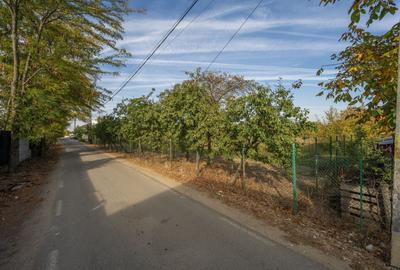 | Teren Intravilan Domnesti 585 mp-Investitie | - 9