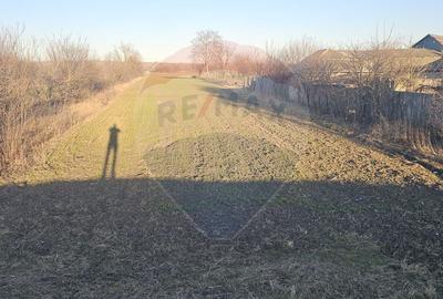 Teren intravilan/extravilan, Strada Răsăritului, com. Filipesti