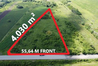 Investitie | Teren 4.030 m² in Satu Mare | Amatiului - Drum asfaltat - 5