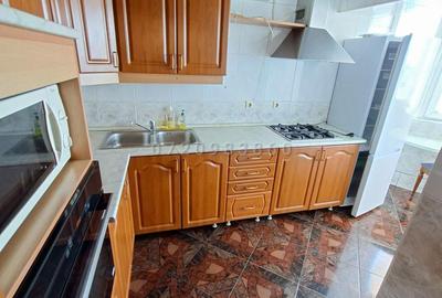 Unirii duplex mobilat, are sauna si terasa inchisa - 9