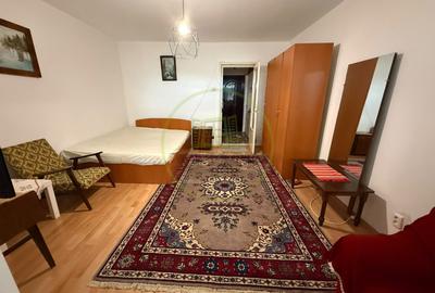 Garsonieră semidecomandată, mobilată în Brazda lui Novac