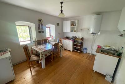 CASĂ CU 6.500 MP TEREN | LIVADĂ | GRĂDINĂ | PIANU DE SUS - 6