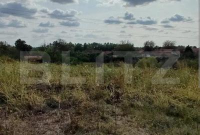 Teren Construcții intravilan de 6983 mp, în Lipovei