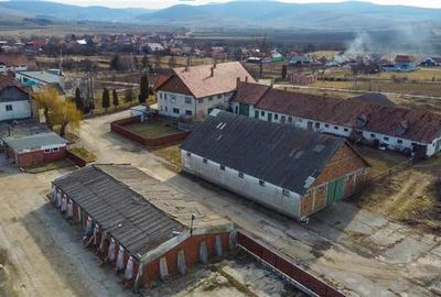 Ansamblu agrozootehnic cu renume,dotat +valoare exceptionala+potential versatil, - 28