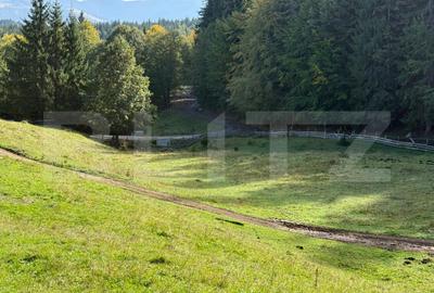 Teren Construcții intravilan de 3926 mp, în Colibița