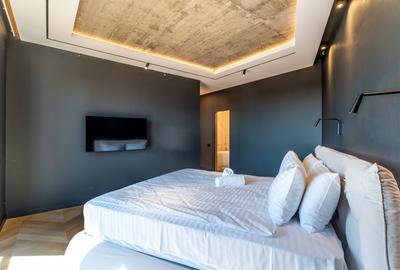 Inchiriere Penthouse de Lux cu 4 camere ,Centru, terasa 200mp - 9