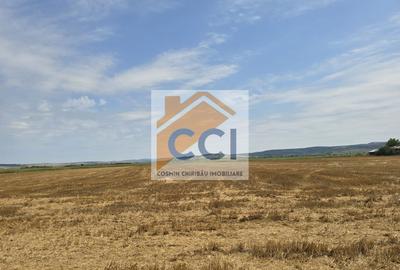 Teren intravilan– 50.000 mp, Bacău, Șoseaua Hol - 5