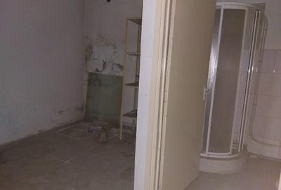 Vanzare/inchiriere stradal,vad auto/pietonal,comercial/birouri - 17