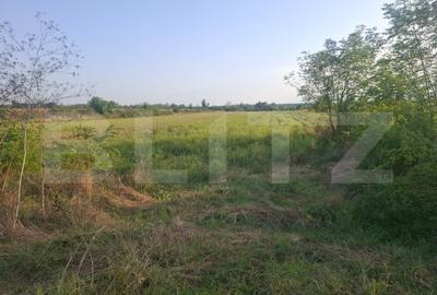 Teren Construcții extravilan de 5000 mp, în Viișoara