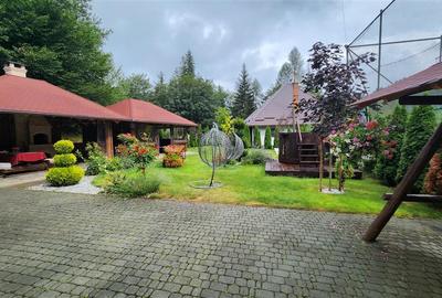Penisune in Bucovina! Sucevita! De Vanzare! 0727817187 - 6