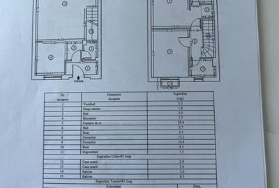 Casa Cosmopolis, prima inchiriere - 20