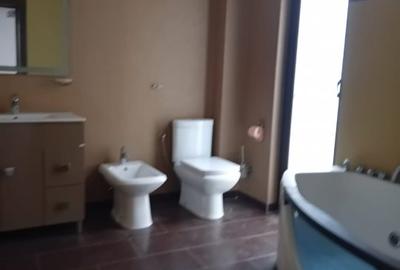 Vila moderna si spatioasa, constructie 2015, zona Mosilor - 19