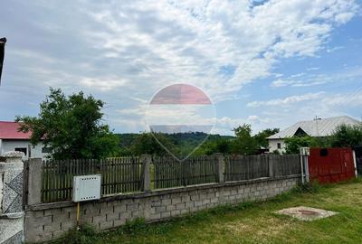 Casă cu teren generos de 8.774 mp, în Mareș – Albota - 6