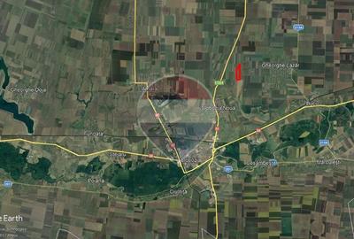 Teren agricol extravilan de 50000 mp, în Slobozia Nouă