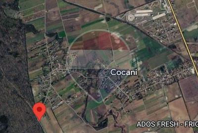 Teren intravilan 988mp | Cocani, Dâmbovița - 7