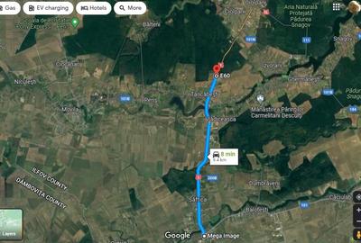 Teren Construcții intravilan de 5000 mp, în Tâncăbești