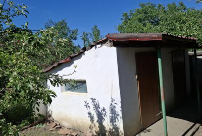 Casa 4 camere in Seitin Judetul Arad - 20
