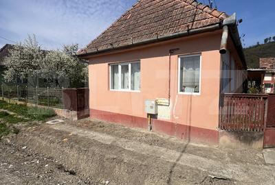 Casă individuală cu 3 camere în Dileu Nou