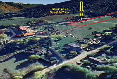 Teren intravilan, 6000 mp, lângă Spital Municipal Săcele - 7