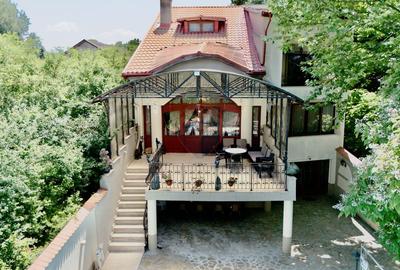 Casa/Vila Premium de vanzare Lacul Snagov / ponton / piscina / barca - 2