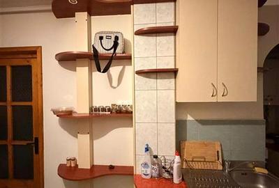 ALZZA REAL ESTATE Apartment with 3 bedrooms for rent 60 sqm in Cluj-Napoca, Mana - 4