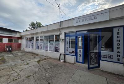 Spațiu comercial, de 255.00 mp, în Micro 19