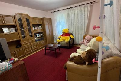 Casa de vacanta la 100m de strandul cu apa termala - 3