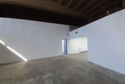 Zona bd. Th. Pallady - hala si birouri 550mp - 17