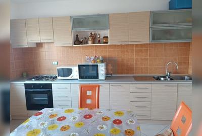 Casa individuala cu toate utilitatile -Balta Verde ,jud.Dolj. - 4