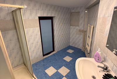 Parc Carol Vila Individuala 7 Camere 175 Mp - 16