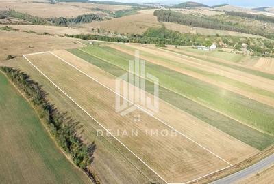 Teren extravilan | 19.000 mp | Ghidfalău - 11