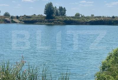 Teren agricol intravilan de 47600 mp, în Pitaru