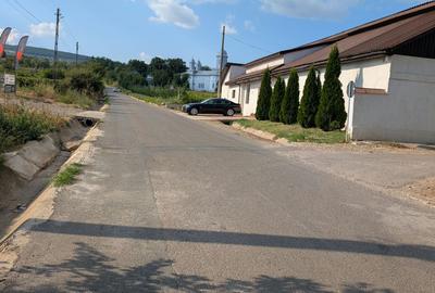 Vanzare vita de vie in sat Dealu Viei - Buzau Comision 0% - 5