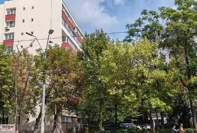 Apartament cu 2 camere semidecomandat în Olteniței