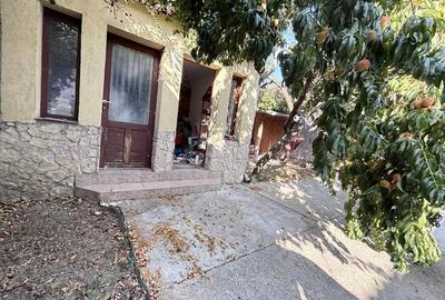Casă individuală cu 3 camere în Nufărul
