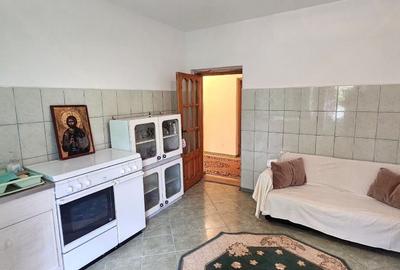 Casa la sol cu teren 1055 mp si livada - Vanatori, Galati - 7
