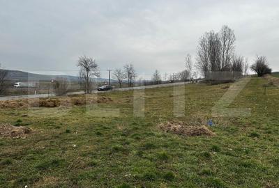Teren agricol extravilan de 6200 mp, în Răhău