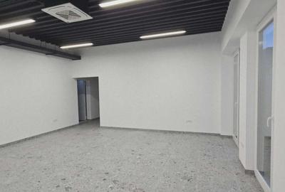 Hala/Showroom/Birouri de închiriat, str. Ogorului / cart. Grigorescu-H0031 - 1
