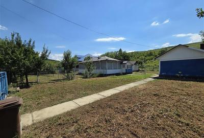 Teren 4800MP - Tomesti - La Soseaua Principala - 8