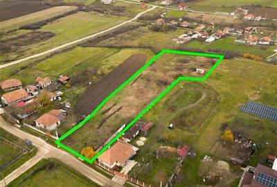 RECO, Teren intravilan, loc de casa in Pausa, Nojorid - 10
