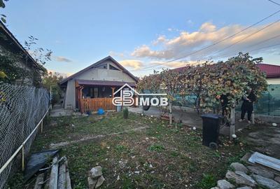Casă cu renovare aproape finalizată și teren propriu în Viișoara - 13
