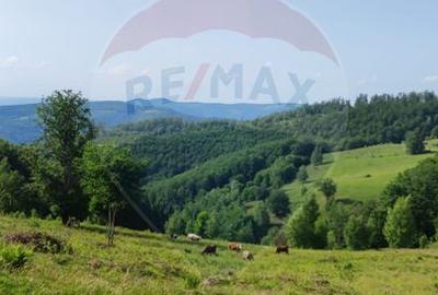 Teren 130000 mp extravilan, faneata si padure, Munteni - Bulz, Negreni - 16