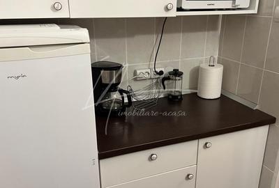 Apartament cu 2 camere -Sala Palatului-str. Ion Campineanu 23. Pet friendly. - 32