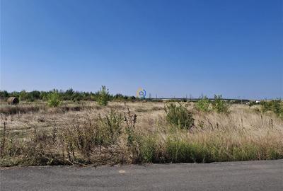Teren agricol intravilan de 5707 mp, în Bradu