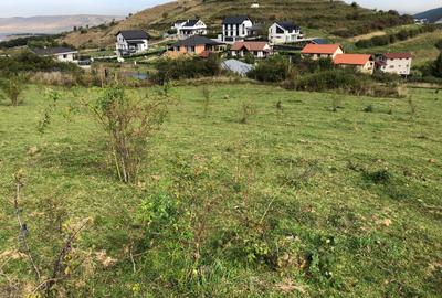 Teren Construcții intravilan de 5100 mp, în Tăuți