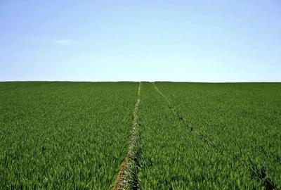 TEREN AGRICOL! - 1