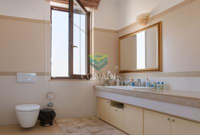 Zona Iancu Nicolae, vila cu 6 camere de vanzare, 407 mp construiti - 10